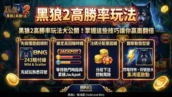 黑狼2高勝率玩法