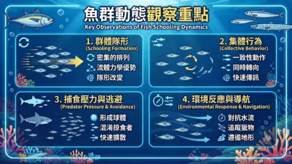魚羣動態觀察重點