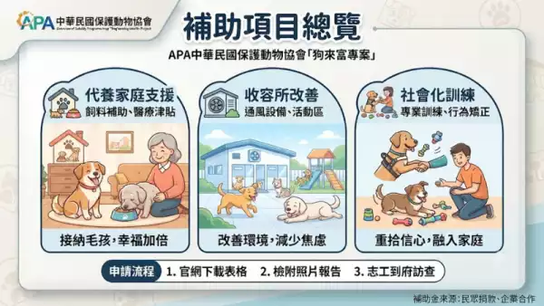 補助項目總覽