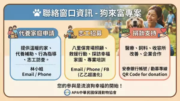 聯絡窗口資訊
