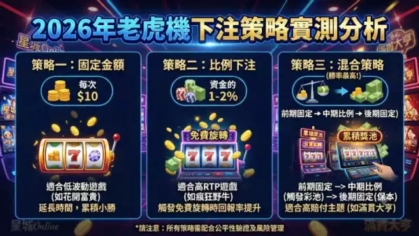 下注策略實測分析