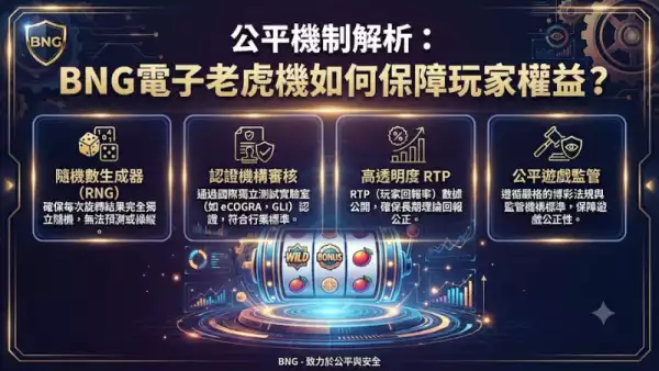 公平機制解析:BNG電子老虎機如何保障玩家權益?